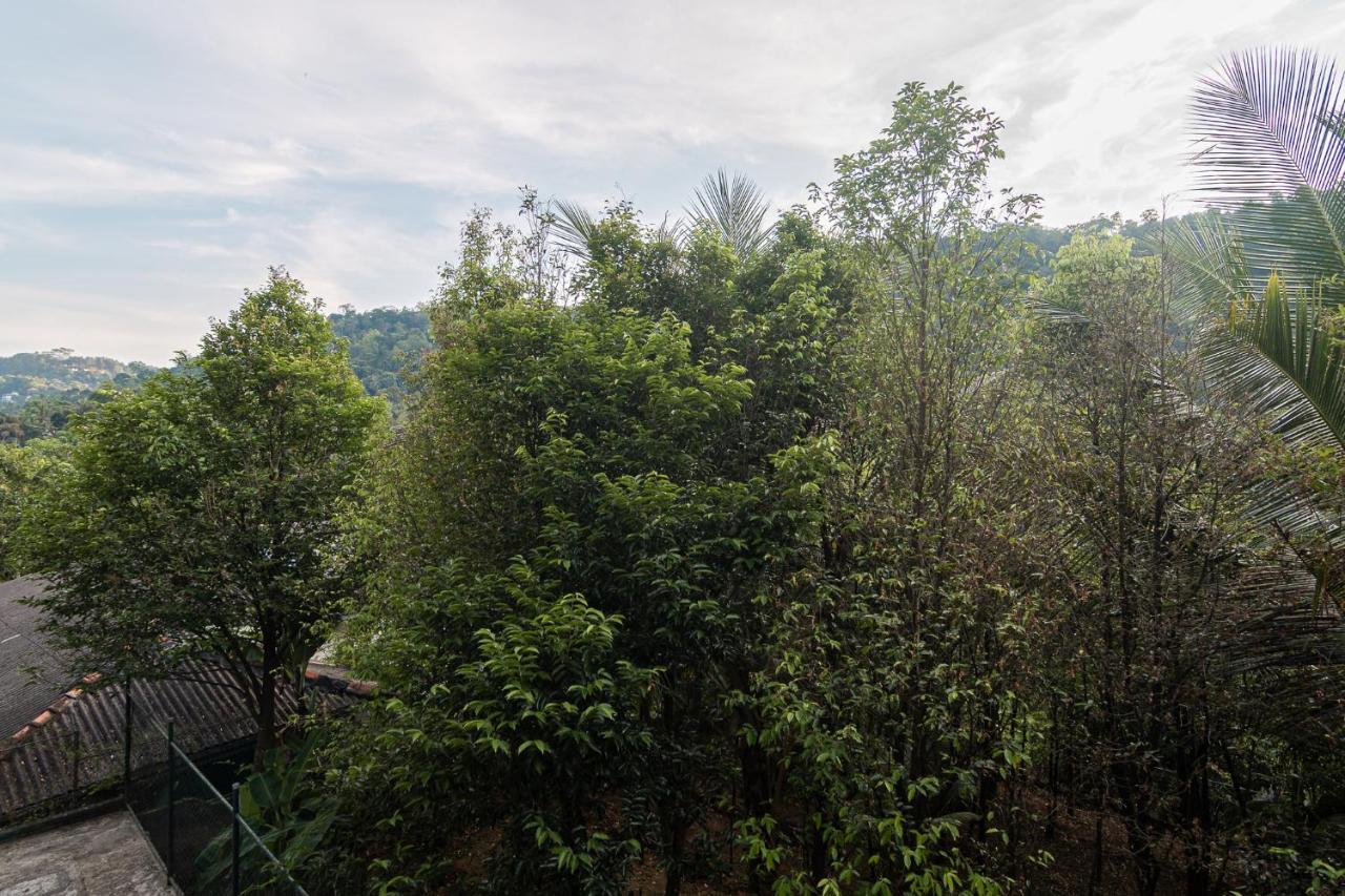 Sun Set Forest Villa Канди Экстерьер фото