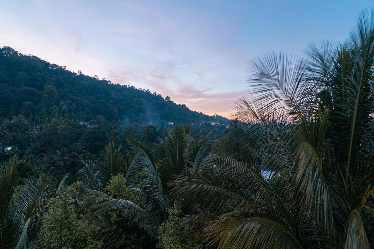 Sun Set Forest Villa Канди Экстерьер фото